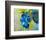 Blue-null-Framed Art Print