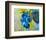 Blue-null-Framed Art Print