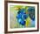 Blue-null-Framed Art Print