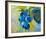 Blue-null-Framed Art Print