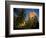 Bluebeard's Castle, St. Thomas, Caribbean-Robin Hill-Framed Photographic Print