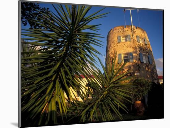 Bluebeard's Castle, St. Thomas, Caribbean-Robin Hill-Mounted Photographic Print