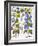 Bluebell And Morning Glory-Besler Basilius-Framed Giclee Print