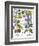 Bluebell And Morning Glory-Besler Basilius-Framed Giclee Print