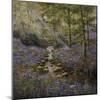 Bluebell Bridge-Bill Makinson-Mounted Giclee Print