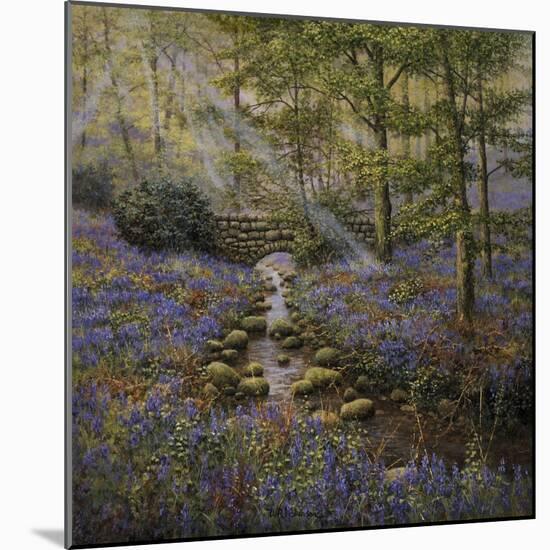 Bluebell Bridge-Bill Makinson-Mounted Giclee Print