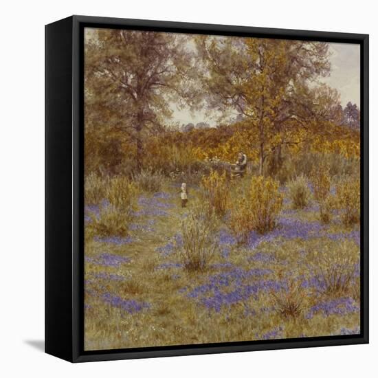 Bluebell Copse-Helen Allingham-Framed Premier Image Canvas