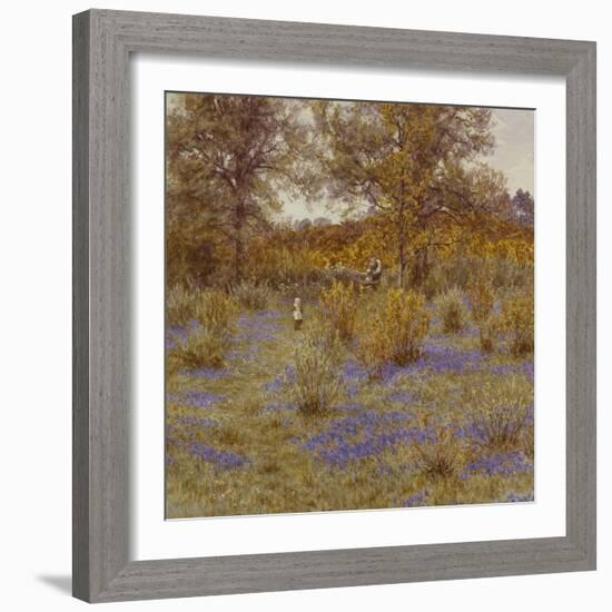 Bluebell Copse-Helen Allingham-Framed Giclee Print