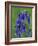 Bluebell Flower, UK-Niall Benvie-Framed Photographic Print