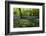 Bluebell forest-Charles Bowman-Framed Photographic Print