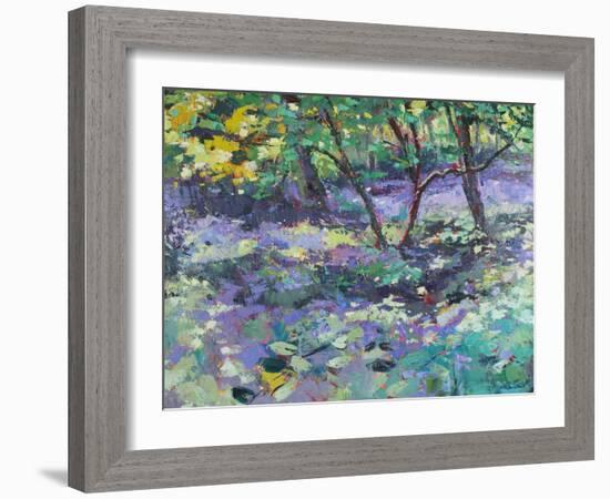 Bluebell Glade-Sylvia Paul-Framed Giclee Print