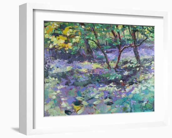 Bluebell Glade-Sylvia Paul-Framed Giclee Print