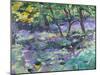 Bluebell Glade-Sylvia Paul-Mounted Giclee Print