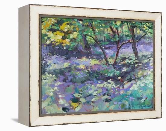 Bluebell Glade-Sylvia Paul-Framed Premier Image Canvas