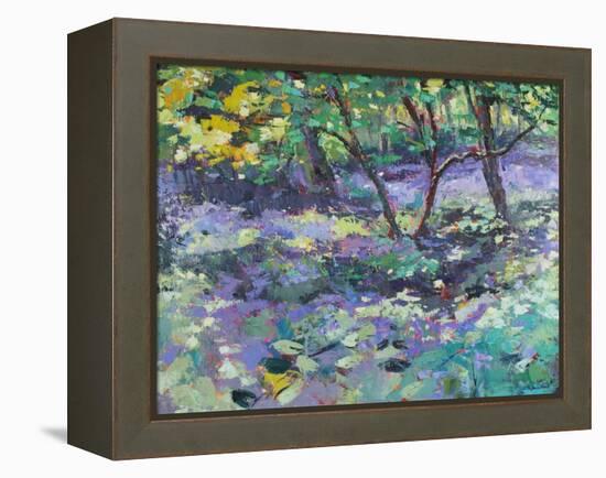 Bluebell Glade-Sylvia Paul-Framed Premier Image Canvas