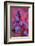 Bluebell, Hyacinthoides Non-Scripta, Close-Up-Andreas Keil-Framed Photographic Print