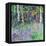 Bluebell Time-Sylvia Paul-Framed Premier Image Canvas
