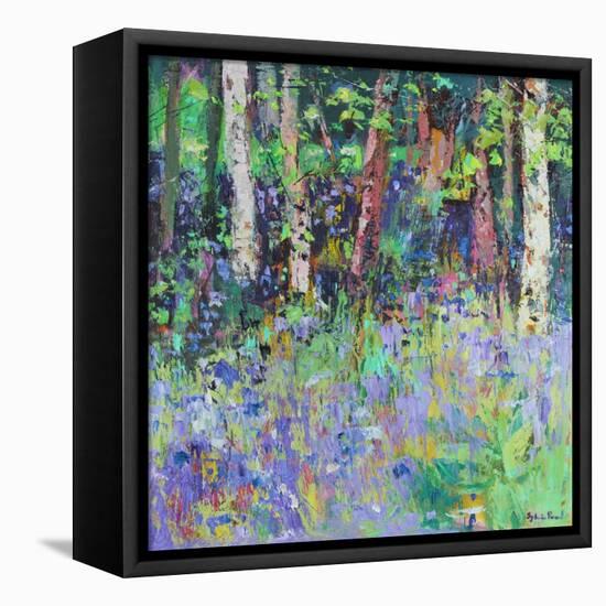 Bluebell Time-Sylvia Paul-Framed Premier Image Canvas