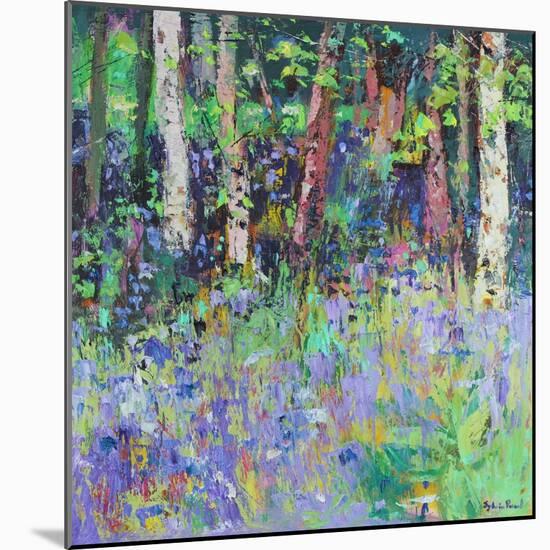 Bluebell Time-Sylvia Paul-Mounted Giclee Print