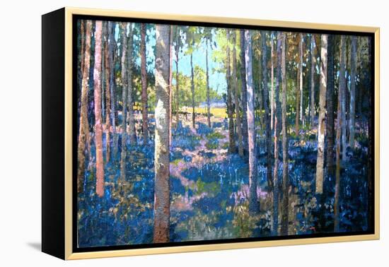 Bluebell Wood, 2009-Martin Decent-Framed Premier Image Canvas