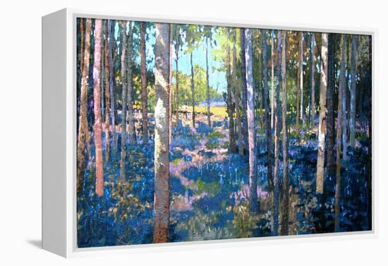 Bluebell Wood, 2009-Martin Decent-Framed Premier Image Canvas