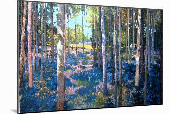 Bluebell Wood, 2009-Martin Decent-Mounted Giclee Print