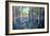 Bluebell Wood, 2009-Martin Decent-Framed Giclee Print