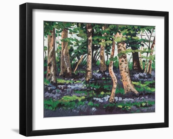 Bluebell Wood, 2009,-Helen White-Framed Giclee Print