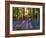 Bluebell Wood at Coton Manor-Clive Nichols-Framed Photographic Print