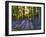 Bluebell Wood at Coton Manor-Clive Nichols-Framed Photographic Print