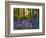 Bluebell Wood at Coton Manor-Clive Nichols-Framed Photographic Print