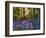 Bluebell Wood at Coton Manor-Clive Nichols-Framed Photographic Print