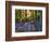 Bluebell Wood at Coton Manor-Clive Nichols-Framed Photographic Print