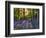 Bluebell Wood at Coton Manor-Clive Nichols-Framed Photographic Print