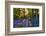 Bluebell Wood at Coton Manor-Clive Nichols-Framed Photographic Print