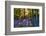 Bluebell Wood at Coton Manor-Clive Nichols-Framed Photographic Print