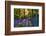 Bluebell Wood at Coton Manor-Clive Nichols-Framed Photographic Print