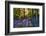 Bluebell Wood at Coton Manor-Clive Nichols-Framed Photographic Print