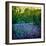 Bluebell Wood I-Pete Kelly-Framed Giclee Print