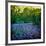 Bluebell Wood I-Pete Kelly-Framed Giclee Print