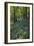 Bluebell Wood-Dr. Keith Wheeler-Framed Photographic Print