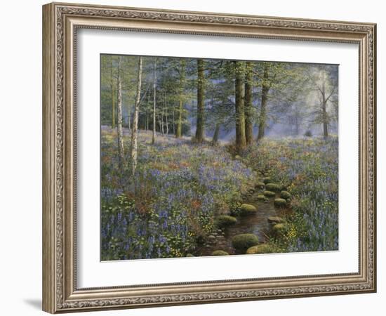 Bluebell Wood-Bill Makinson-Framed Giclee Print