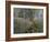 Bluebell Wood-Bill Makinson-Framed Giclee Print