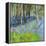 Bluebells And Birches-Sylvia Paul-Framed Premier Image Canvas