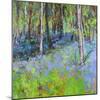 Bluebells And Birches-Sylvia Paul-Mounted Giclee Print