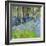 Bluebells And Birches-Sylvia Paul-Framed Giclee Print