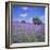 Bluebells, Dartmoor, Devon, England, United Kingdom, Europe-David Lomax-Framed Photographic Print