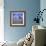 Bluebells, Dartmoor, Devon, England, United Kingdom, Europe-David Lomax-Framed Photographic Print displayed on a wall