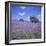 Bluebells, Dartmoor, Devon, England, United Kingdom, Europe-David Lomax-Framed Photographic Print