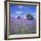 Bluebells, Dartmoor, Devon, England, United Kingdom, Europe-David Lomax-Framed Photographic Print